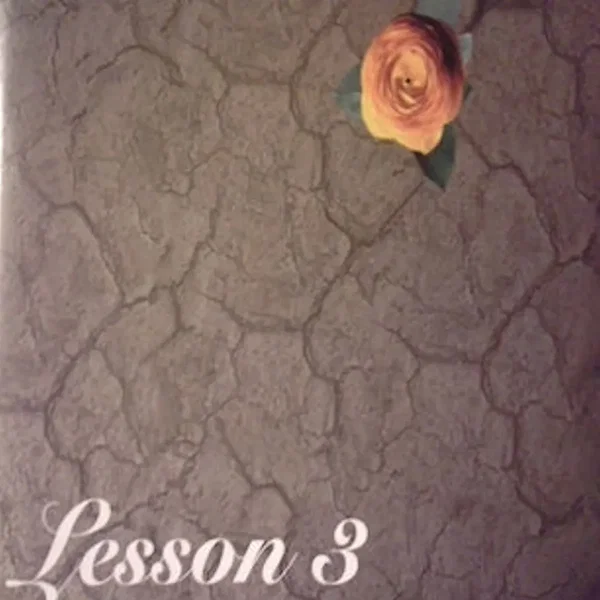 Lesson 3