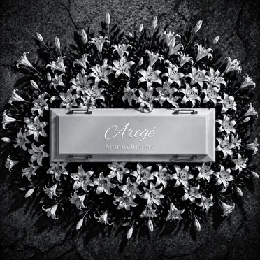 Monochrome by Aregé - album cover