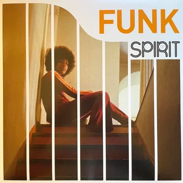 Spirit of Funk by Various Artists - album cover