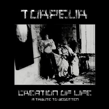 Creation of Life (a tribute to Begotten)