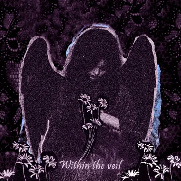 Within The Veil