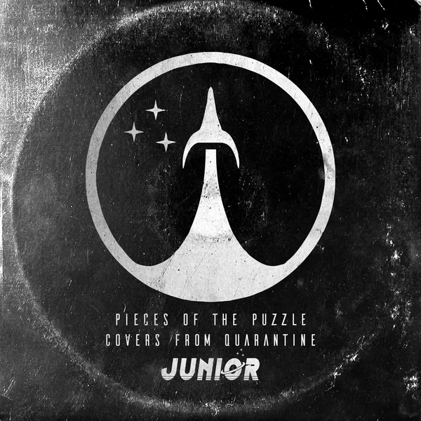 Pieces Of The Puzzle (Covers from Quarantine)