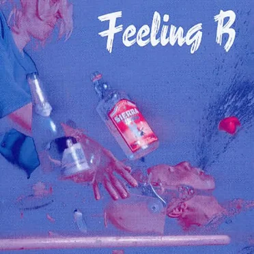 Wir kriegen euch alle by Feeling B - album cover