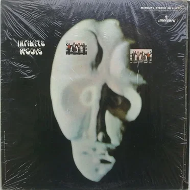 Infinite McCoys by The McCoys - album cover