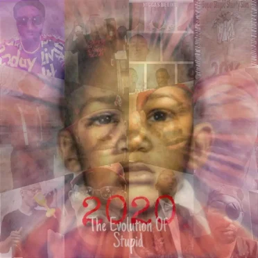 2020 the Evolution of Stupid