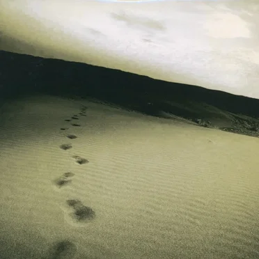 if/search for・・・e.p.