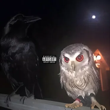 pt tape by selim! - album cover
