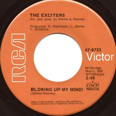 Blowing Up My Mind! / You Don’t Know What You’re Missing ('Till It’s Gone!)