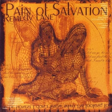 Remedy Lane by Pain of Salvation - album cover