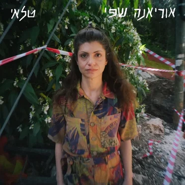 טלאי