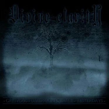Greivous Umbrage Of The Yesterdays by Divine Clarity - album cover