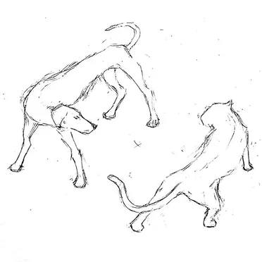 Dogs & Cats (acoustic)