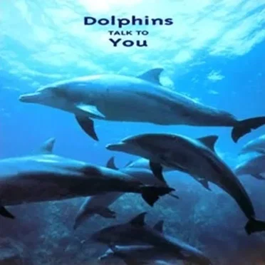 Dolphins TALK TO You by DREAM DOLPHIN - album cover