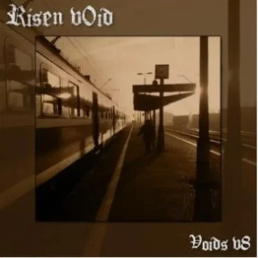 Voids v8 by Risen v0id - album cover