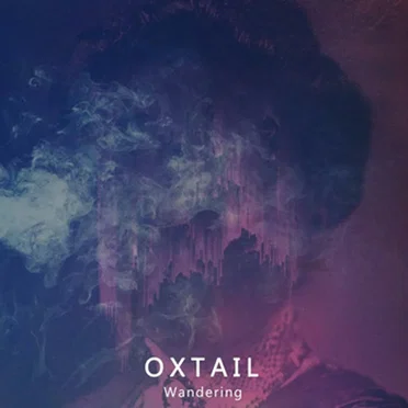 Wandering by Oxtail - album cover