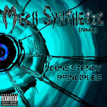 Consistency Principles