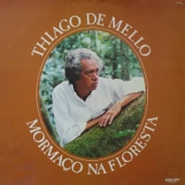 Mormaço Na Floresta