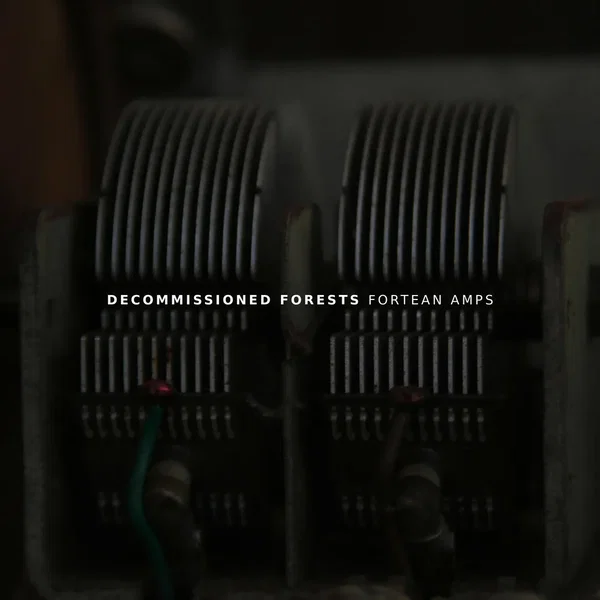 Fortean Amps