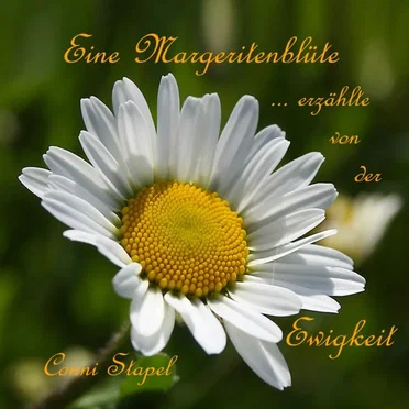 Eine Margeritenblüte ... erzählte von der Ewigkeit