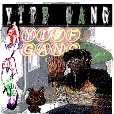 YIFF GANG by YIFF GANG - album cover