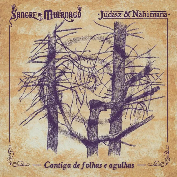 Cantiga de Folhas e Agulhas (live session)
