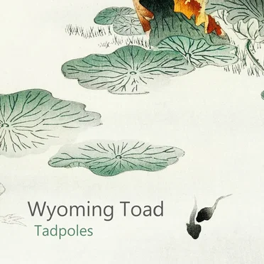 Tadpoles