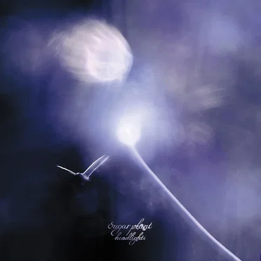 headlights