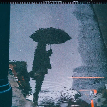 Shelter From the Sun