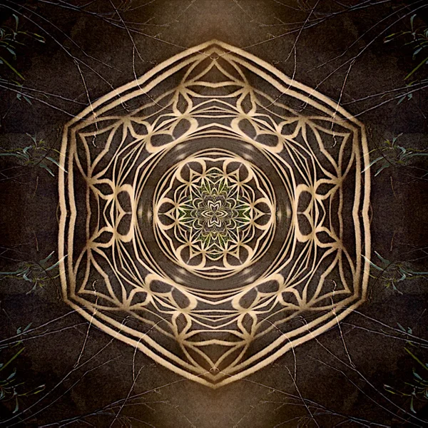 Nova
