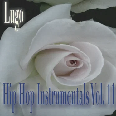 Hip hop instrumentals vol. 11