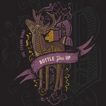 Bottle You Up by Joe Stamm Band - album cover