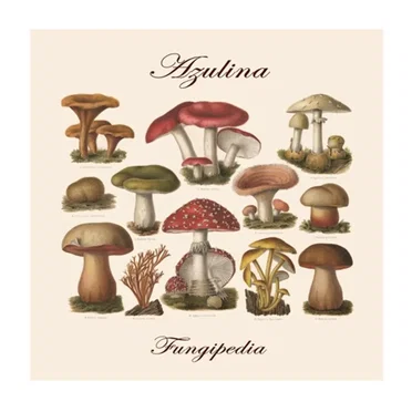 Fungipedia by Azulina - album cover