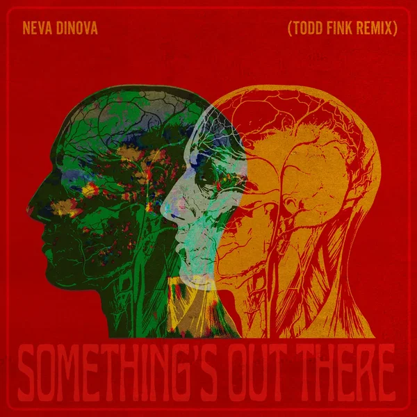 Something's Out There (Todd Fink remix)