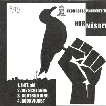 Hur mås det? by EkoBrottsMyndigheten - album cover