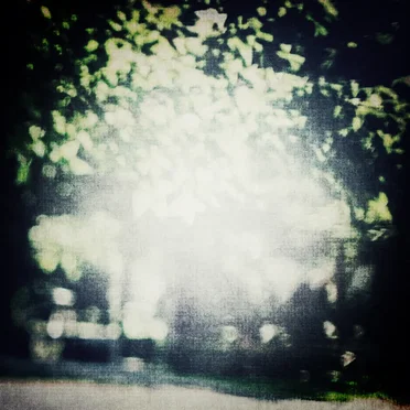Variations (for summer) by Igl00 - album cover