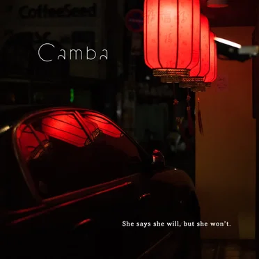 She says she will, but she won't by Camba - album cover