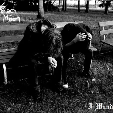 I Wander by Reach the Moon - album cover