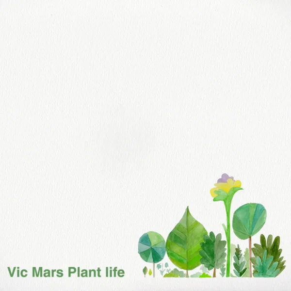 Plant Life