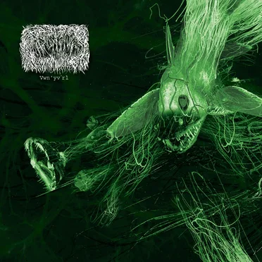 Vwn'yv´rl by Ar'lyxkq'wr - album cover
