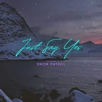 The Northern Lights artist image