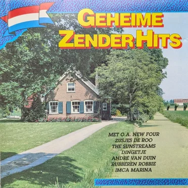 Geheime zender hits by Various Artists - album cover