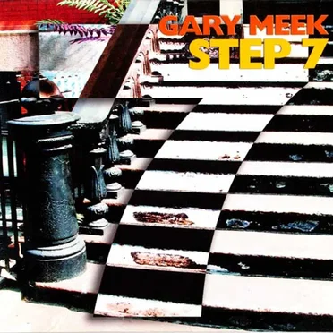 Step 7