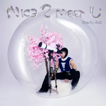 NIC3 2 MEET U by Charity SsB - album cover