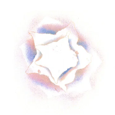 Slow Rose by Slow Rose - album cover