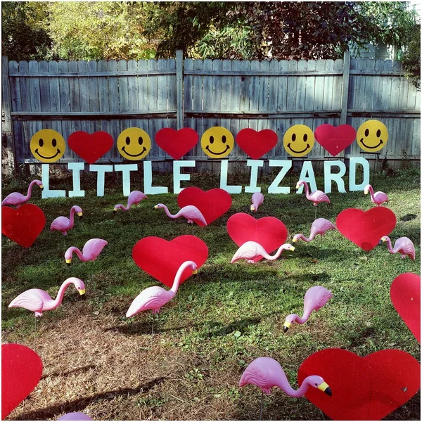 Plastic Flamingos