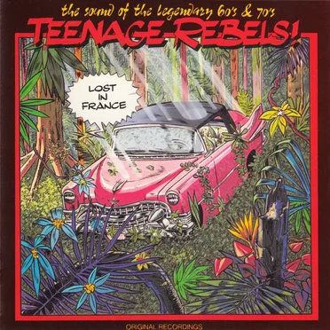Teenage Rebels! - Lost in France by Various Artists - album cover
