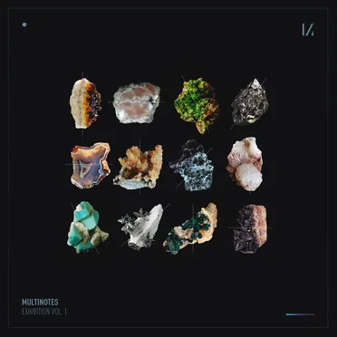 Exhibition Vol. 1 by Various Artists - album cover