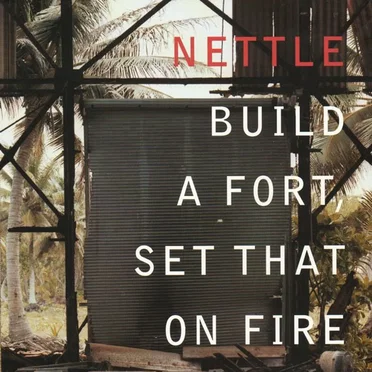 Build a Fort, Set That on Fire by Nettle - album cover
