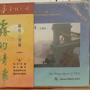The Misty Mood of TBM by Various Artists - album cover