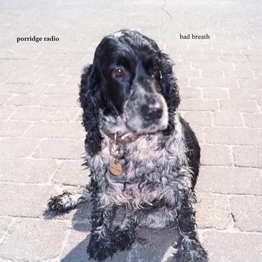 Bad Breath by Porridge Radio - album cover
